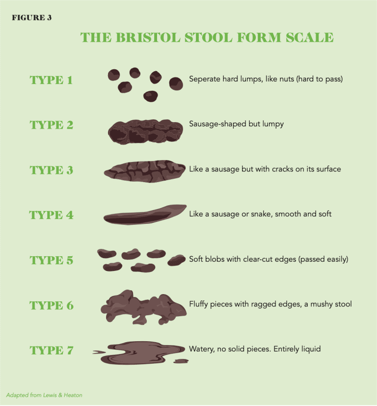 Don’t be fooled by your stool! How to check in with your poop | The Gut ...