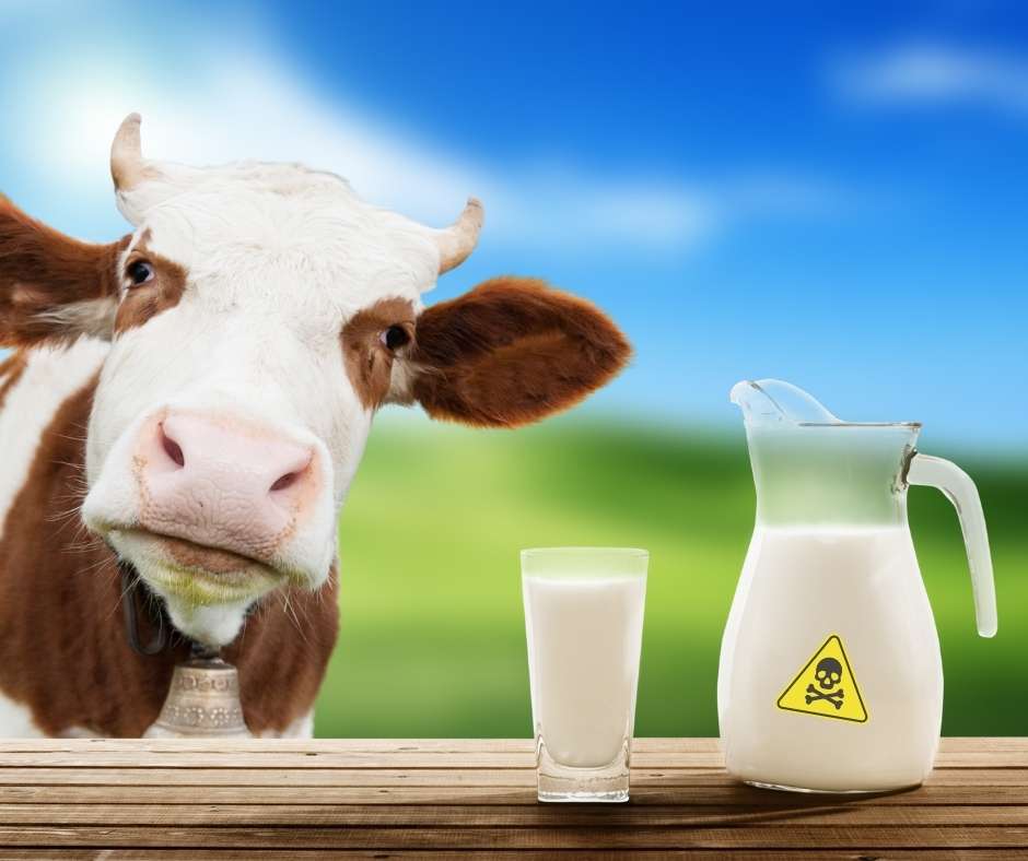 Cow's Milk Protein Allergy (CMPA) | The Gut Health Doctor