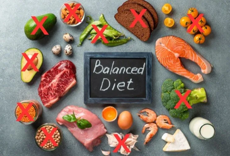 A photo of a variety of foods labelled as a 'balanced diet' with all plant based foods crossed out with a red 'X'