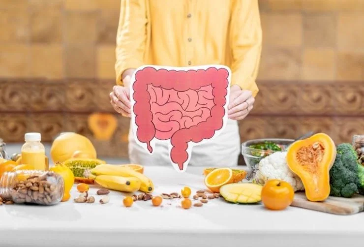 A person holding a printed illustration of the small and large intestine surrounded by fruits and vegetables