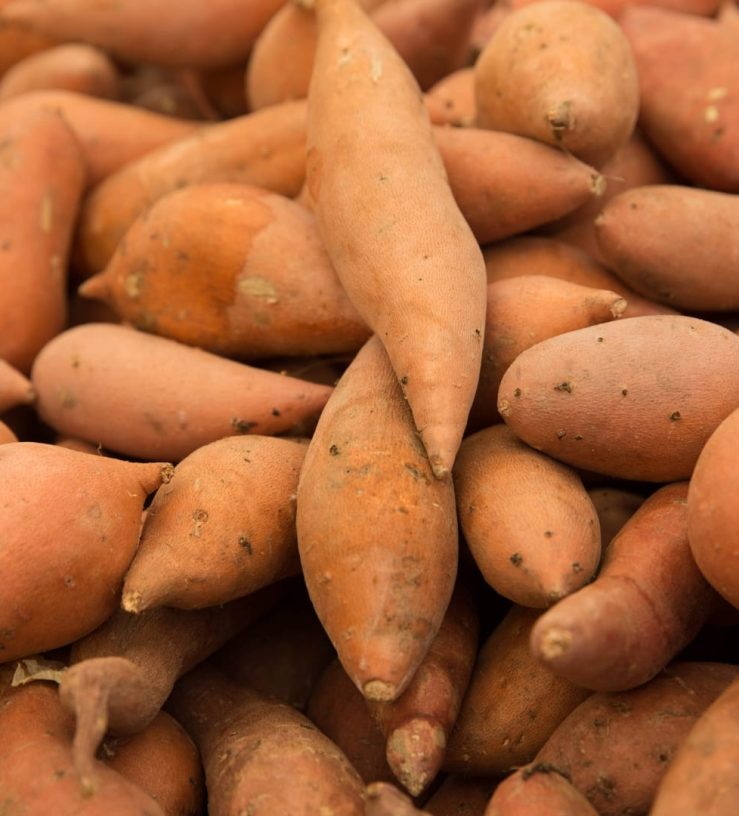 A photo of sweet potatoes