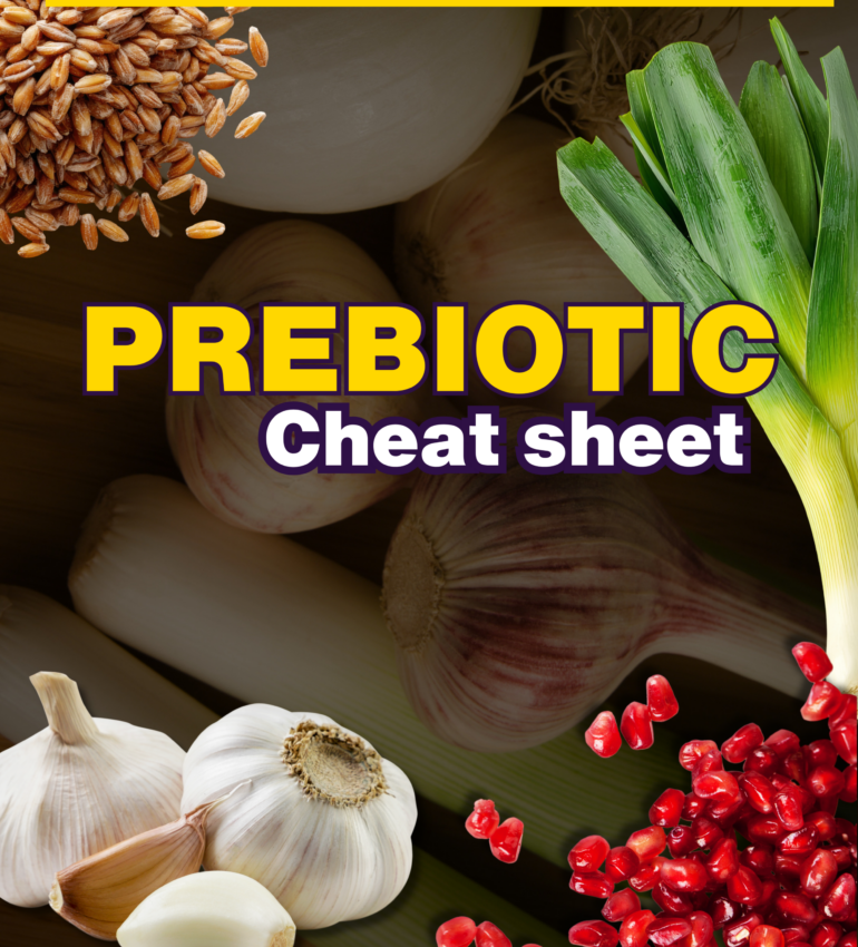 Front cover of prebiotic cheat sheet