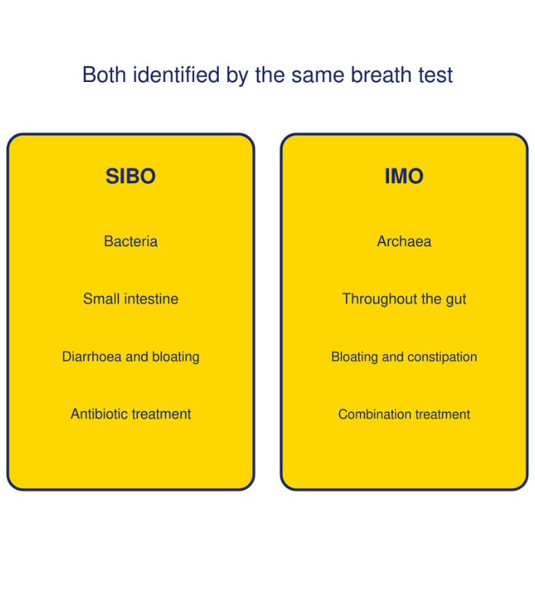 Flat diagram comparing SIBO and IMO by organism, location, symptoms and treatment, two causes of a wrong IBS diagnosis