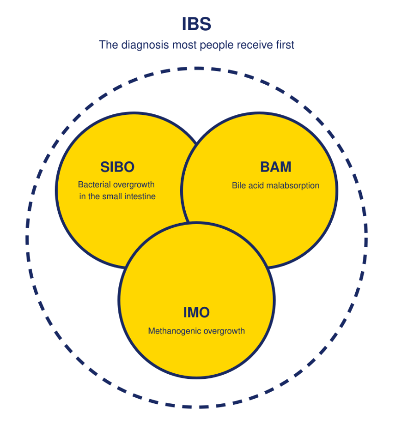 Flat diagram showing SIBO, BAM and IMO within an outer IBS circle, three conditions behind a wrong IBS diagnosis